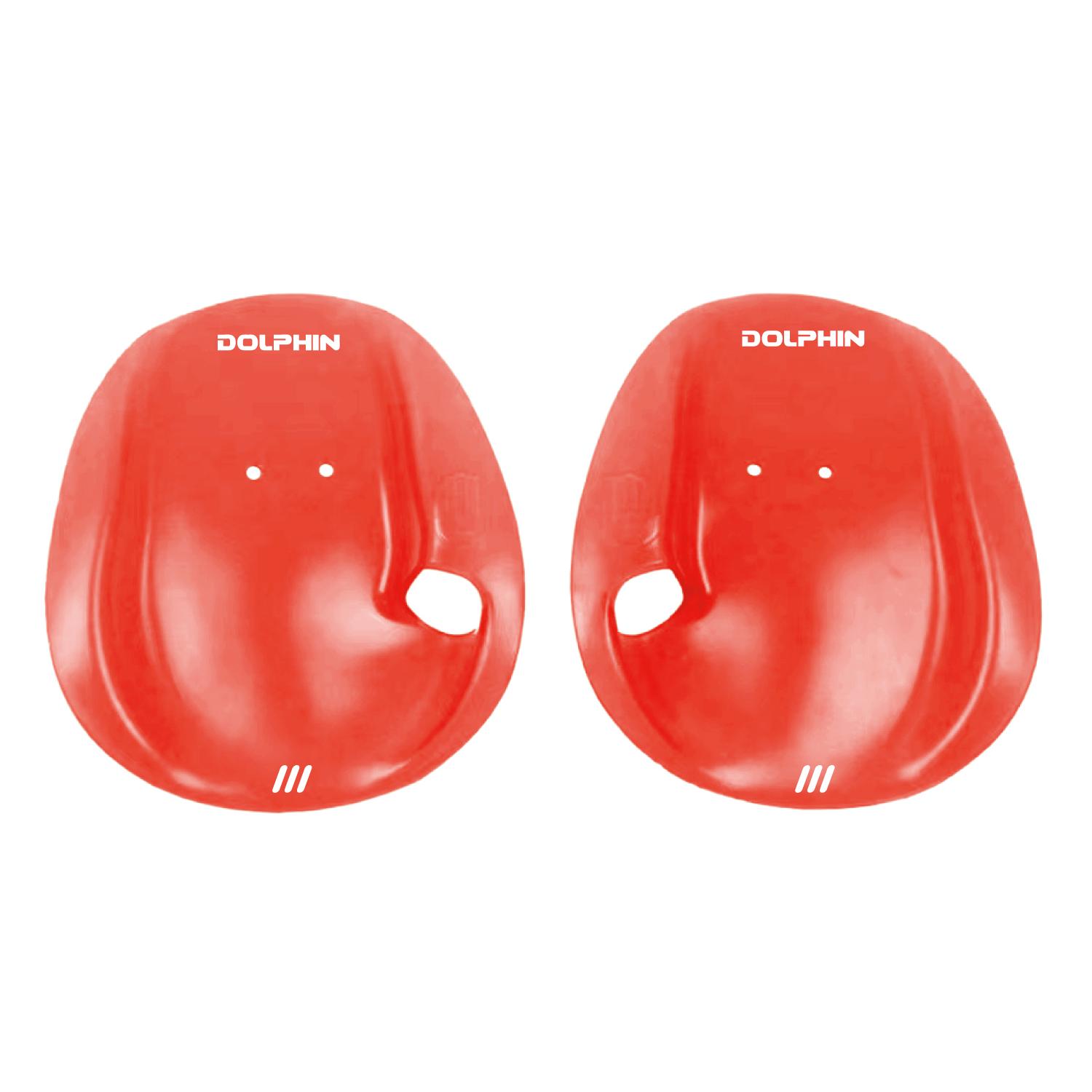 Dolphin 初階訓練蛙掌泳掌